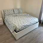 Completo Letto Matrimoniale 100% cotone Farfalle