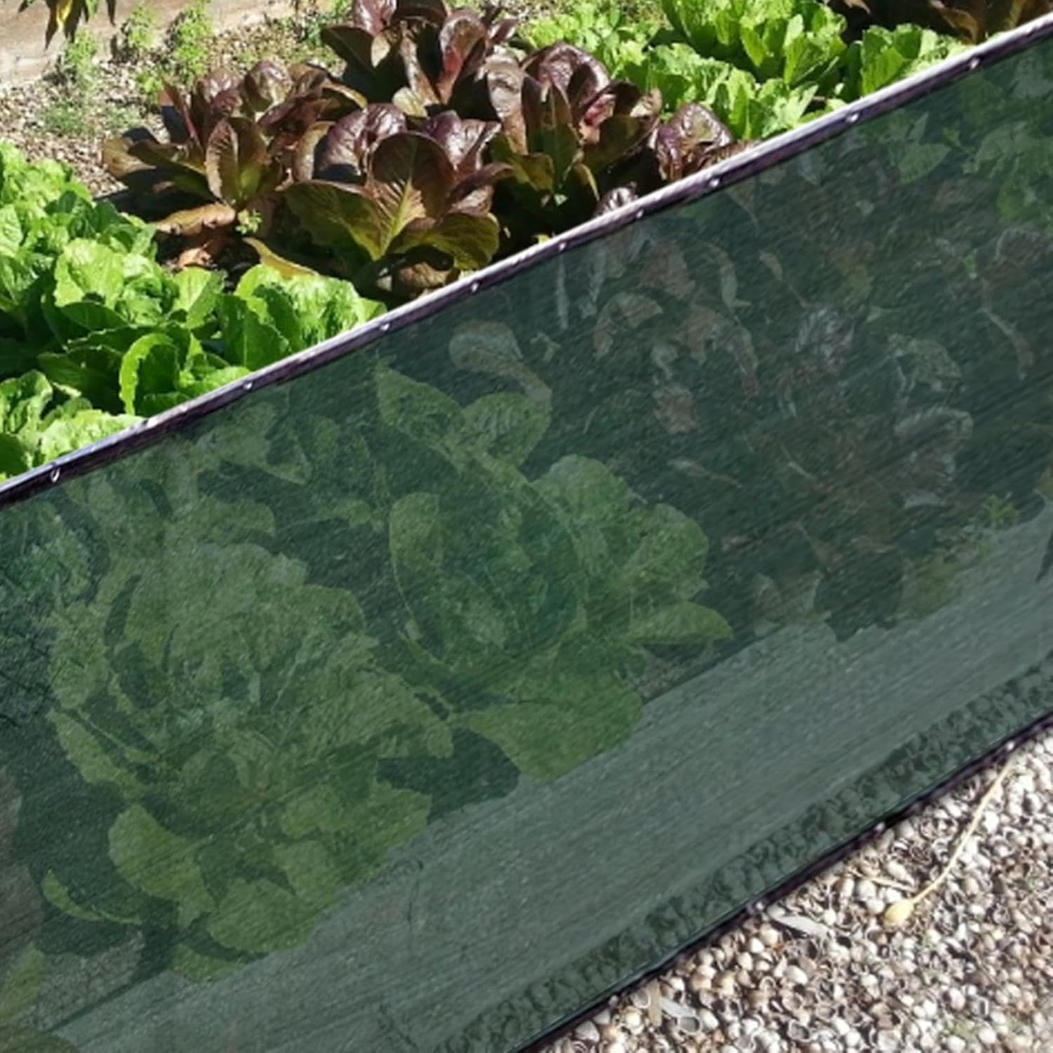 Rete Privacy Occhiellata in Tessuto HDPE