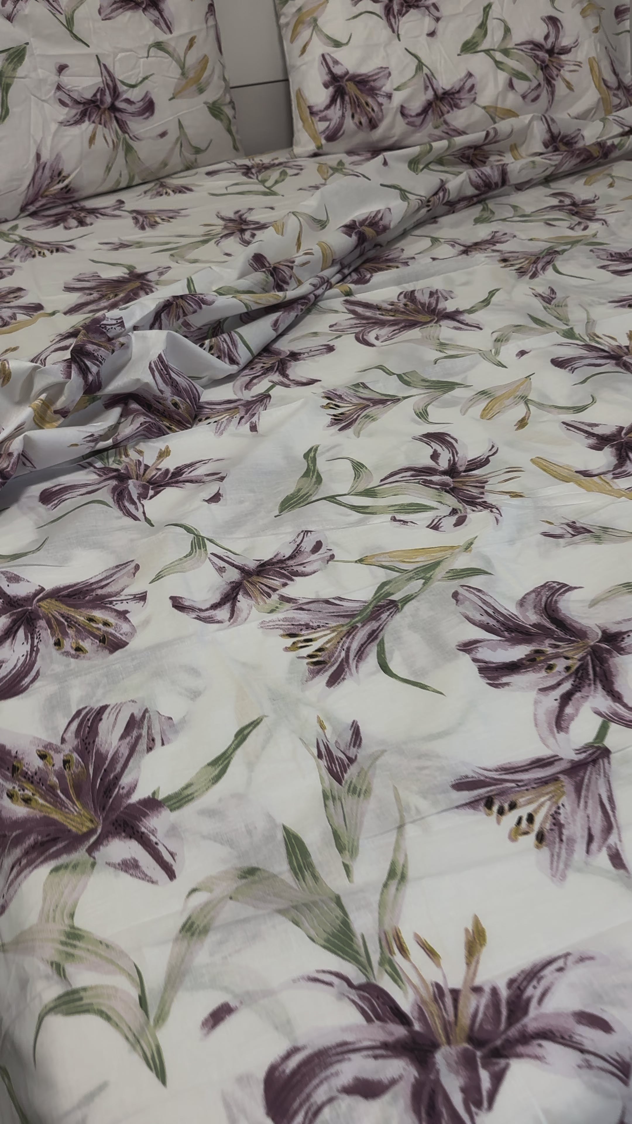 Lily - Rossini