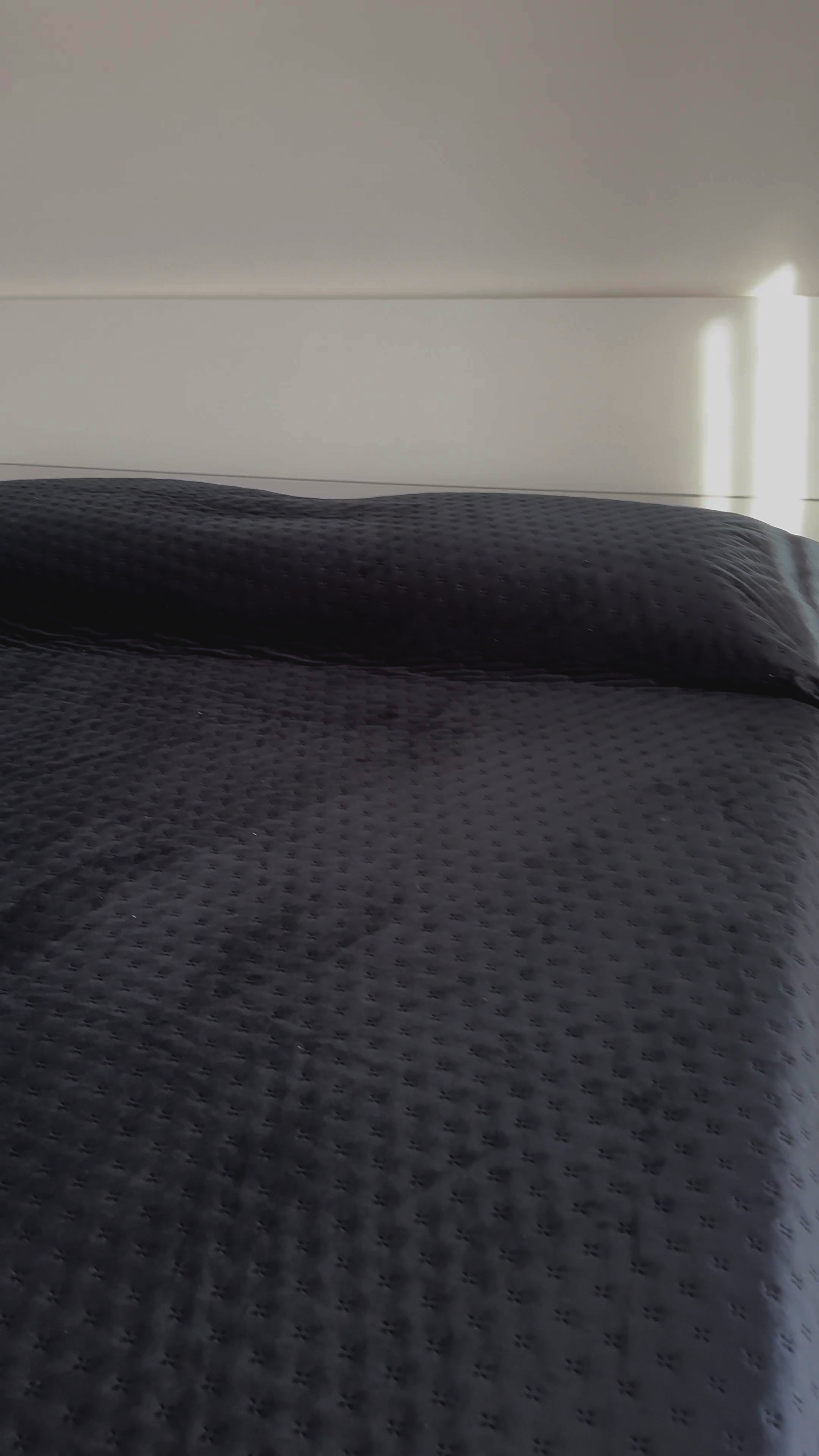 Copriletto Trapuntato in Velluto Matrimoniale 250x250 cm